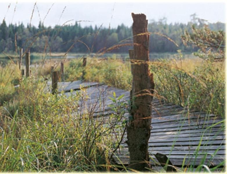 Hensbacka Herrgard Munkedal Exterior photo